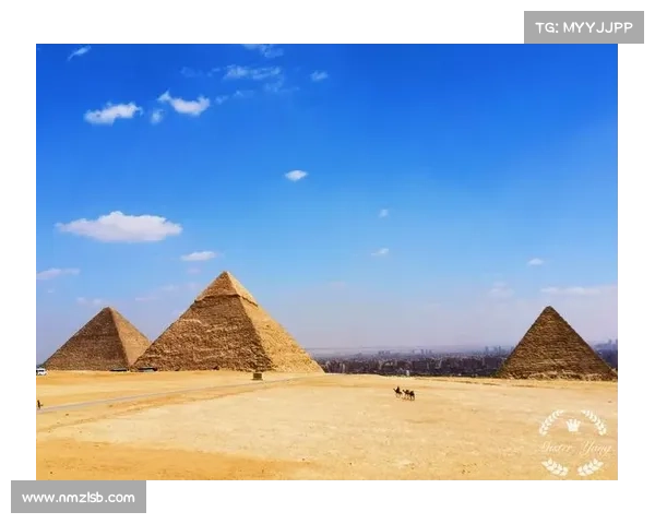 揭开波尔蒂足球俱乐部背后神秘面纱的深度探索之旅全景式纪实篇录