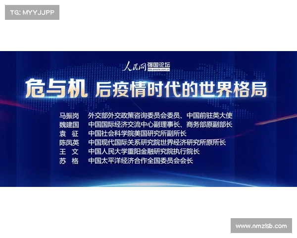 欧协杯决赛规则全景式解析与观赛策略指导的权威实用综合手册指南