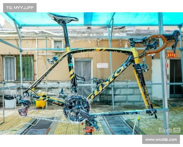 如何实现全员冠军梦想：778车队成功背后的智慧与策略解析