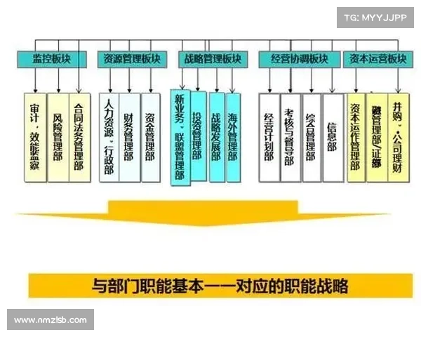斯坦福桥五大组织特点解析与深度剖析