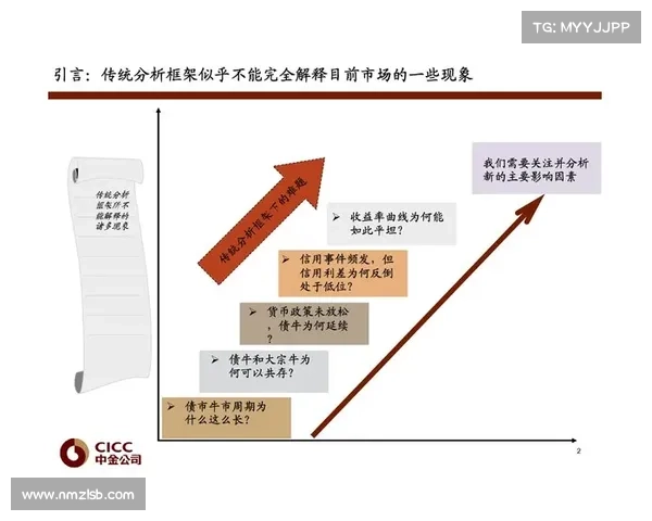 斯坦福桥背后的秘密组织揭秘 深度解析其运作模式与影响力